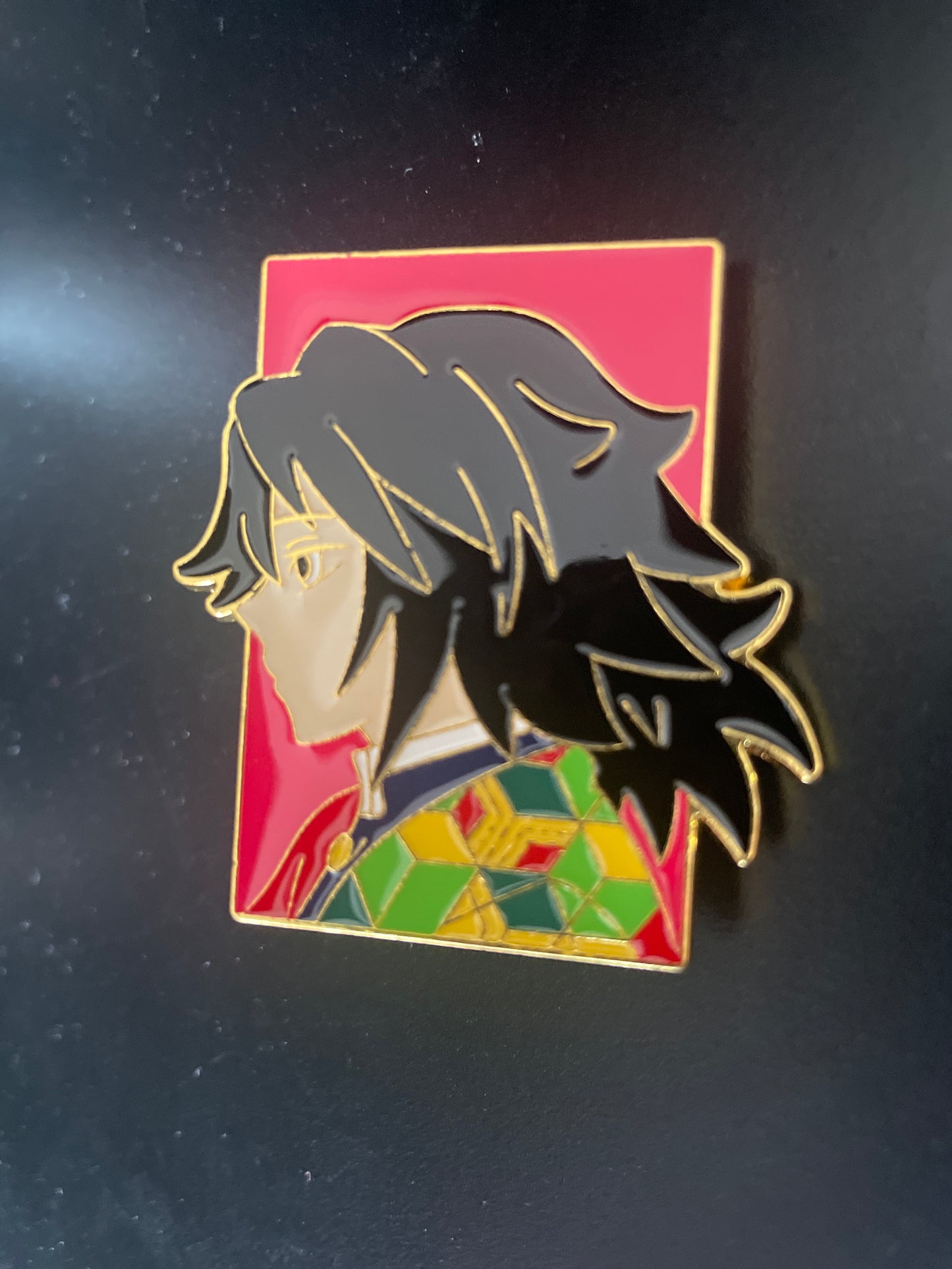 Pin Kimetsu no Jaiba Tomioka perfil