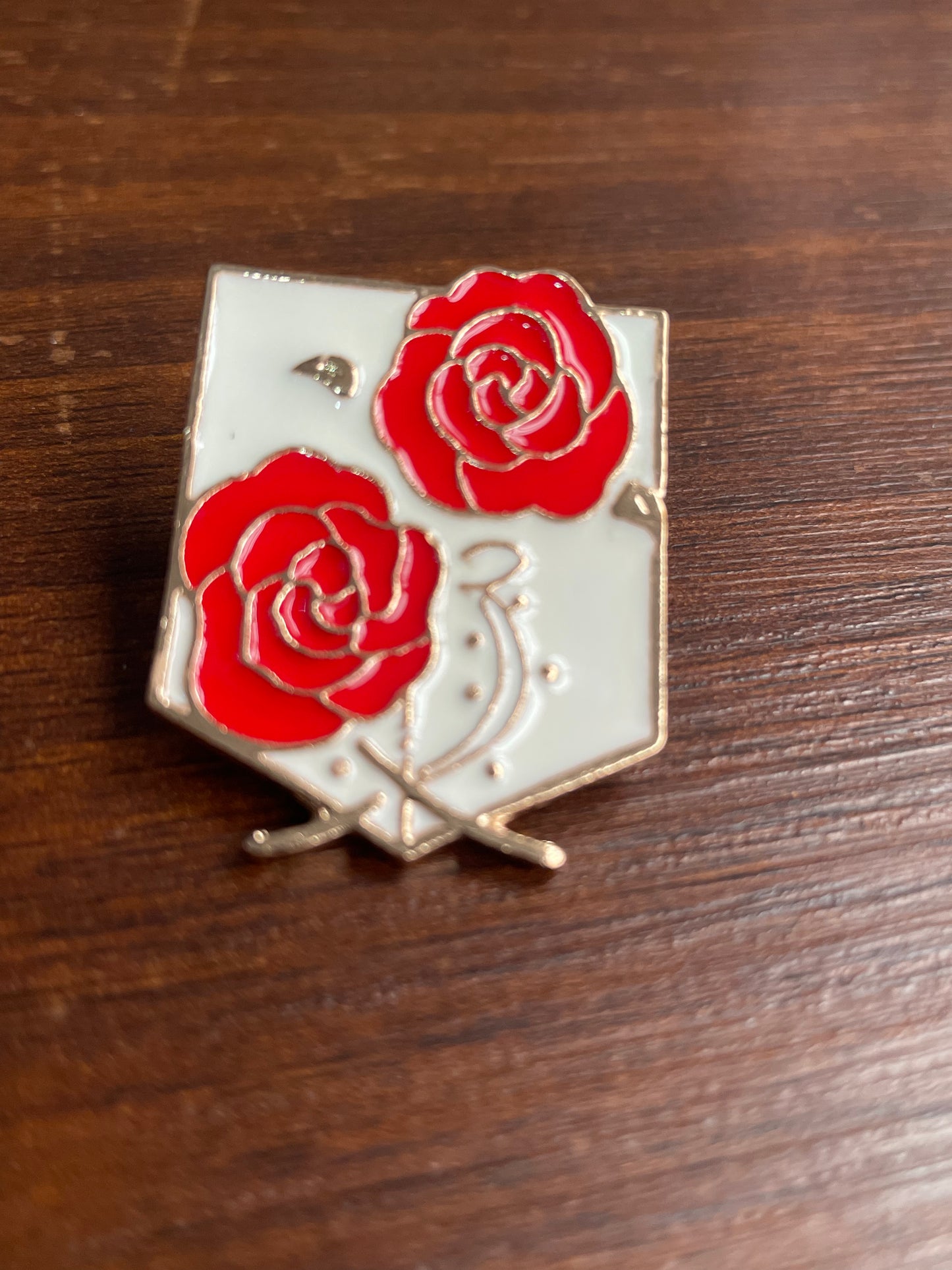 Pin Attack on Titan AoT