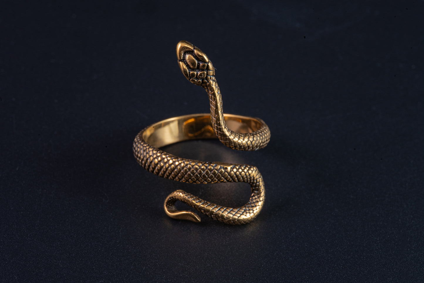 Anillo serpiente trepadora