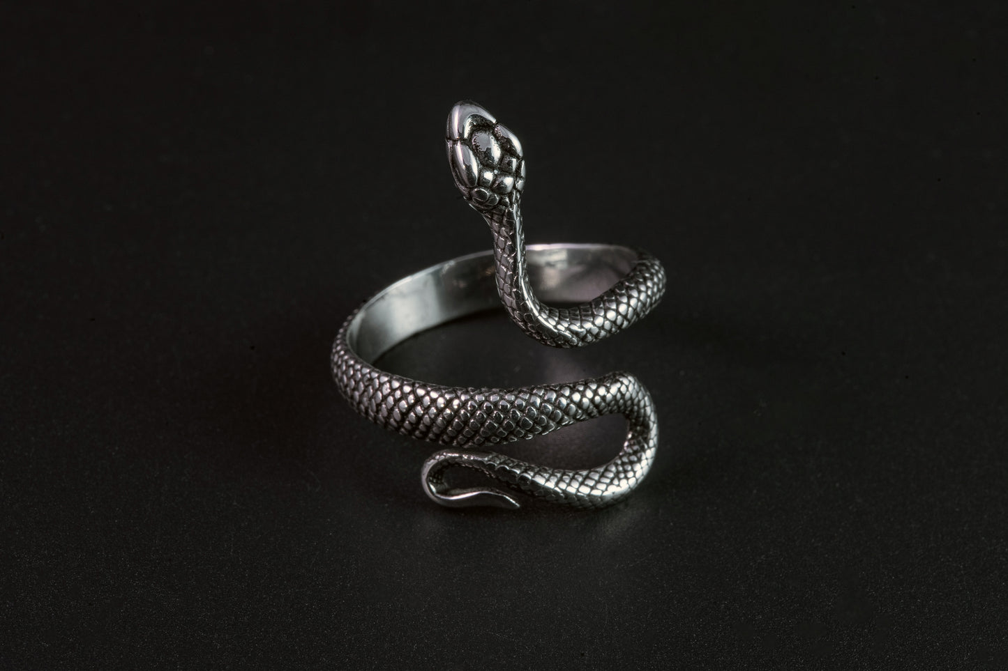 Anillo serpiente trepadora