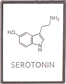 Pin Serotonina